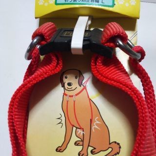 大型犬引っ張り防止首輪の画像