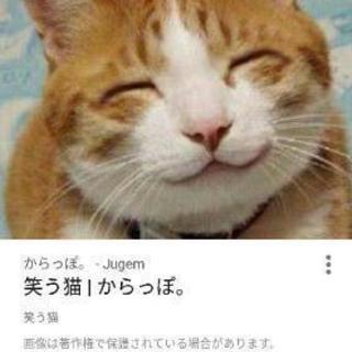 趣味友募集