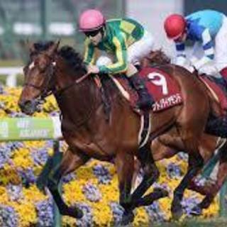 カジノ、競馬が好きな人！意見交流したりシミュレーション等して盛り上がりませんか？ − 東京都