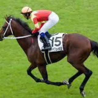 カジノ、競馬が好きな人！意見交流したりシミュレーション等して盛り上がりませんか？ - メンバー募集