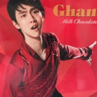 大幅値下げ★非売品★羽生結弦★クリアファイル