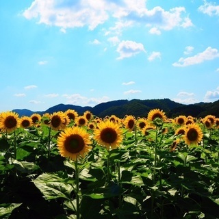 3/3(土)白金台 植物に囲まれたカフェ