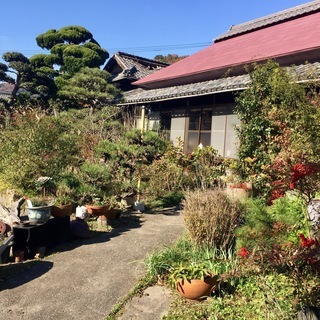 グリーンウェイ英会話スクールのご案内です。岡山県玉野市の古民家で...