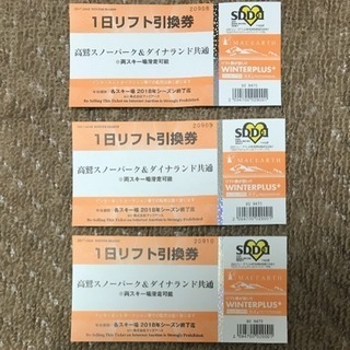 高鷲、ダイナ共通チケットの画像