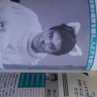 夢で逢えたら公式キャラクターブックの画像