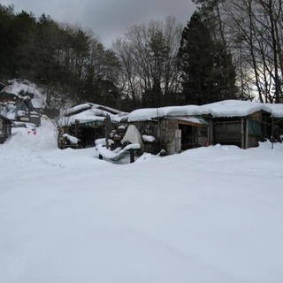 仲間募集しています、私たちは自然を楽しむ会です、広島と島根の県境の山を借り自分のすきな小屋を建てて、自分だけの隠れ家を基地にして、山小屋を創ったり、江ノ川に、魚釣り、年2回のイベントの５月は山菜天ぷら、大鍋で炊く美味しい豚汁、その他自作料理、１２月は餅つき大会その他いろいろ、山小屋もいろいろ、電柱で造ったログハウス風ハウス、製材所もらった丸太の側部コワ、コワハウス、解体現 場で貰った柱、丸太、リホーム現場で出たあまっ た材料で創ったエコハウス、自然に包まれ − 広島県