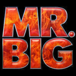 Mr.BIG【ビリー】募集！！！