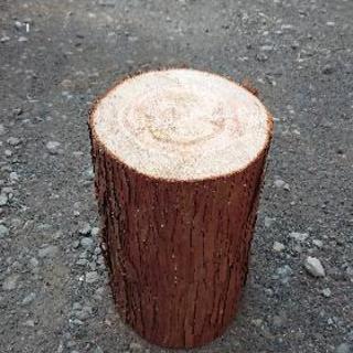 ヒノキの丸太