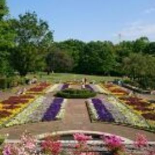 ■2024.5.18(土）19（日）狭山市智光山公園バラフェスタフリマ　●■●汽車ポッポ●■● - フリーマーケット