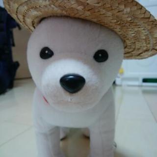 お父さん犬　ストラップ