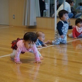 赤ちゃん運動会&ベビーダンスの画像