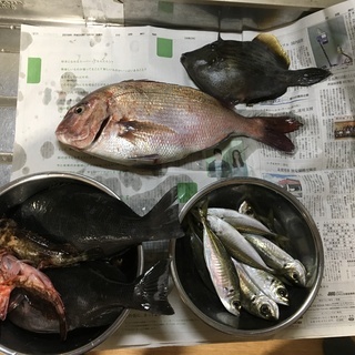 釣り友募集 四国4県の方 2018 - さぬき市