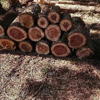 薪 DIY 原木 格安 積み放題の画像
