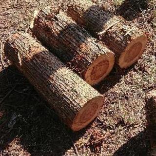 薪 DIY 原木 格安 積み放題の画像