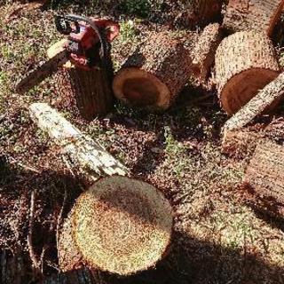 薪 DIY 原木 格安 積み放題の画像