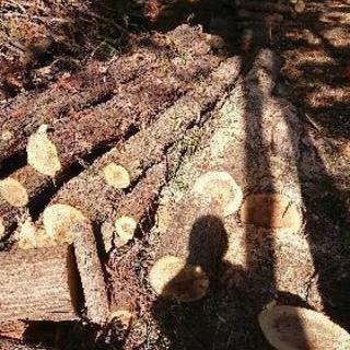 薪 DIY 原木 格安 積み放題の画像