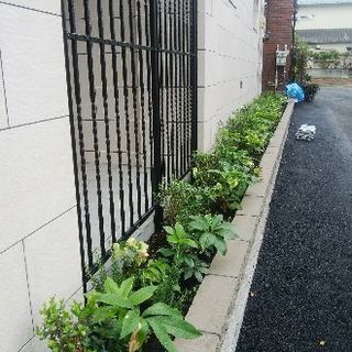 造園助手 募集の画像