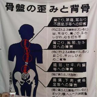 姿勢チェック＆骨盤調整体験