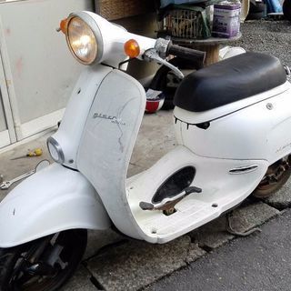 ホンダ　ジョルカブ　3月12日までの価格　交渉中