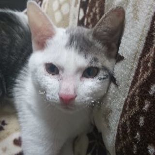 ✨LINEグルチャメンバー募集✨