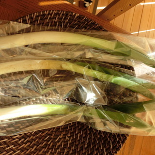 沖縄有機・自然野菜入荷 − 北海道
