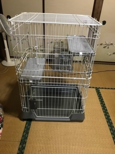 猫のゲージ