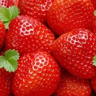 イチゴ狩りつれてってほしーですー(* >ω<)
