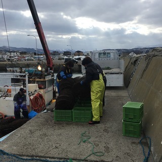 【短期】ホタテの養殖業務（陸上業務のみ）住み込み無料！