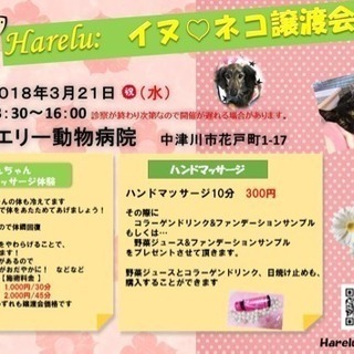 イヌ ネコ 譲渡会