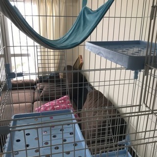 猫 キャットケージ3段 ハンモック付！の画像