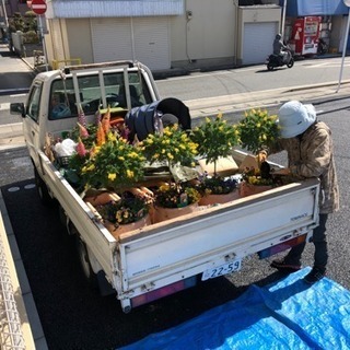 夏の造園アルバイト