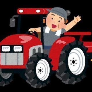 トラクタ　20馬力以上