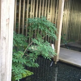 お部屋、空き家の片付け