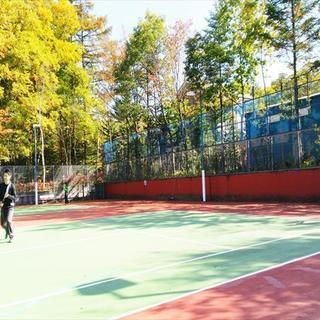 ★テニス★3/21 江東区住吉駅【初心者、初級者・ブランク有り歓迎！】コーチレッスン付き − 東京都
