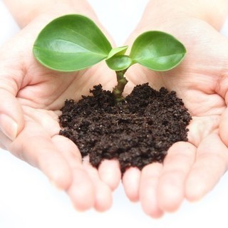 【営業】未経験歓迎!20代活躍中!飛込みなし!の画像