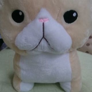 ちんまりマンチカン②