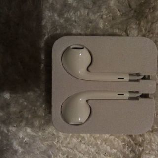 ipodnanoの純正品!イヤホン