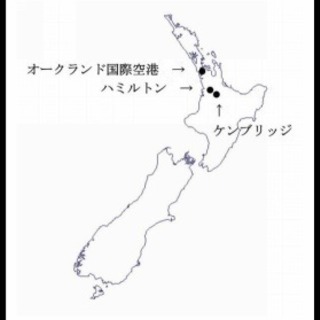留学支援プログラム　【Good英会話】の画像