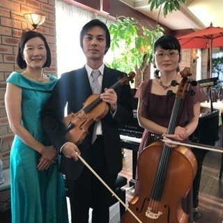 バイオリンレッスン生徒募集中🎻の画像