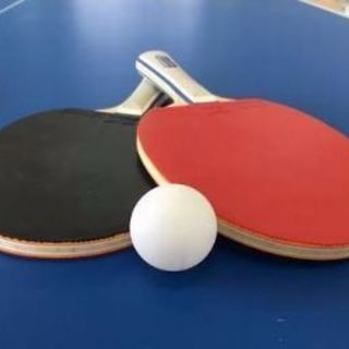 卓球