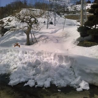 廃材・農業資材、譲ってください