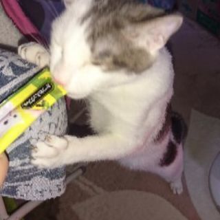 友達作りたい方щ(ﾟдﾟщ)ｶﾓｰﾝ！！