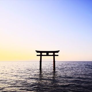 【京滋】カメラ片手に春を撮ろう！ - その他