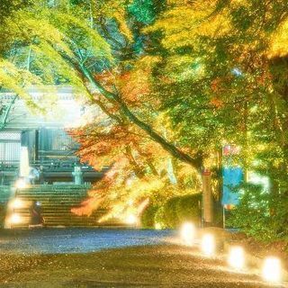 【京滋】カメラ片手に春を撮ろう！ - メンバー募集