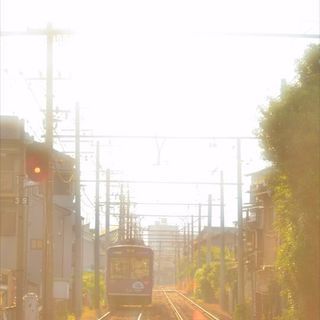 【京滋】カメラ片手に春を撮ろう！ - 大津市