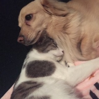 急募です！！ - 日立市