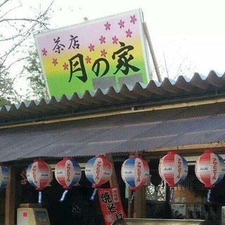 お花見屋台短期バイト