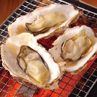 【明日のお昼】焼き牡蠣食べ放題に行きませんか？
