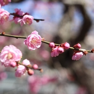 福岡 💗 写真ともだち
