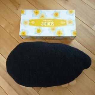 炭入りまくらの画像